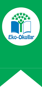 Yeşil BAYRAK NEDİR?